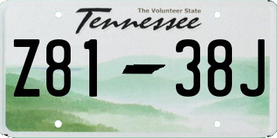 TN license plate Z8138J