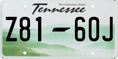 TN license plate Z8160J