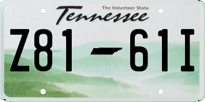 TN license plate Z8161I