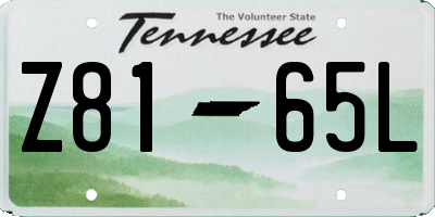 TN license plate Z8165L