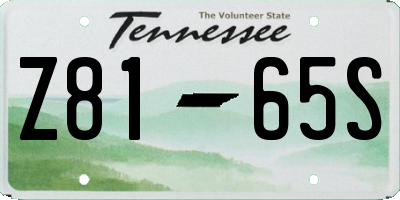 TN license plate Z8165S