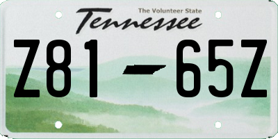 TN license plate Z8165Z