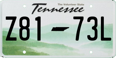 TN license plate Z8173L