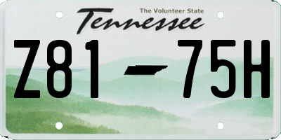 TN license plate Z8175H