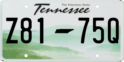 TN license plate Z8175Q