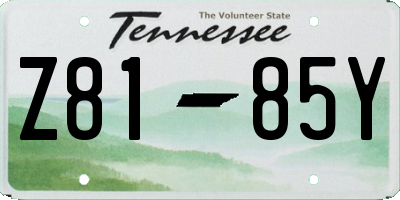 TN license plate Z8185Y
