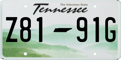 TN license plate Z8191G