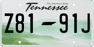 TN license plate Z8191J