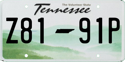 TN license plate Z8191P