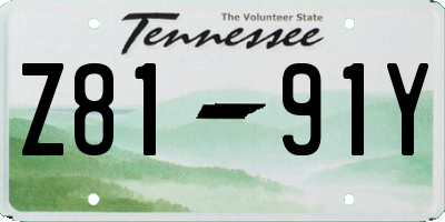 TN license plate Z8191Y