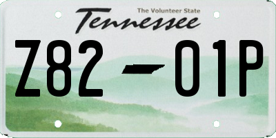 TN license plate Z8201P