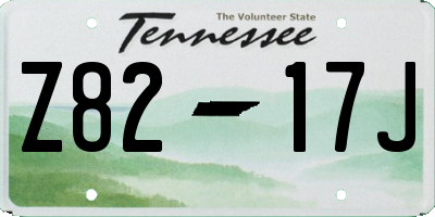 TN license plate Z8217J