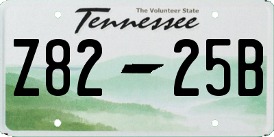 TN license plate Z8225B