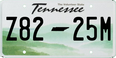 TN license plate Z8225M