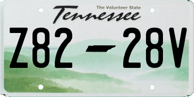 TN license plate Z8228V