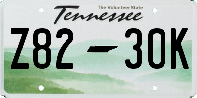 TN license plate Z8230K