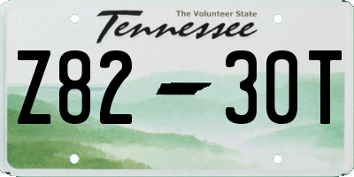 TN license plate Z8230T