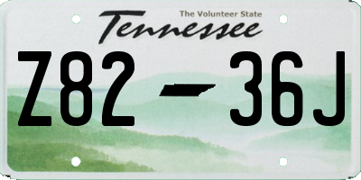 TN license plate Z8236J