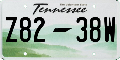 TN license plate Z8238W