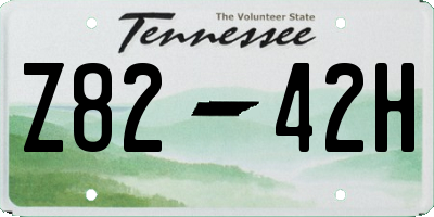 TN license plate Z8242H