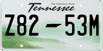 TN license plate Z8253M