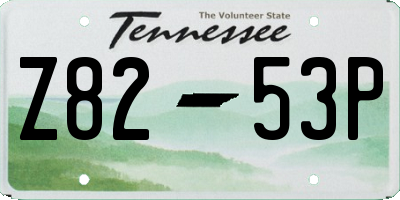 TN license plate Z8253P