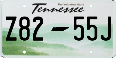 TN license plate Z8255J