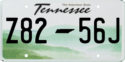 TN license plate Z8256J