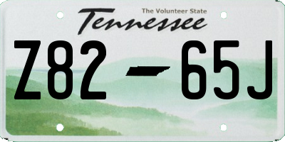 TN license plate Z8265J