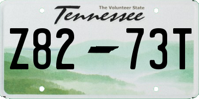 TN license plate Z8273T