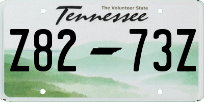 TN license plate Z8273Z