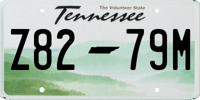 TN license plate Z8279M