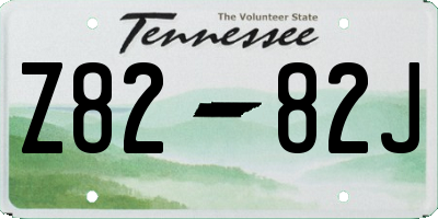 TN license plate Z8282J