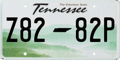 TN license plate Z8282P