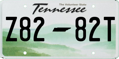 TN license plate Z8282T