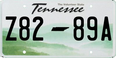 TN license plate Z8289A
