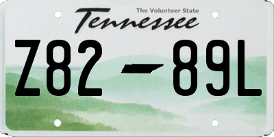 TN license plate Z8289L