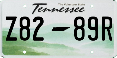 TN license plate Z8289R