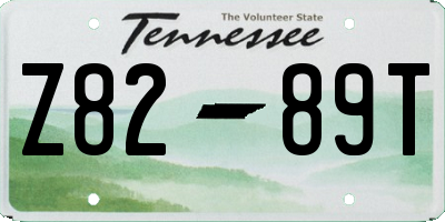 TN license plate Z8289T
