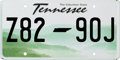TN license plate Z8290J