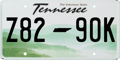 TN license plate Z8290K