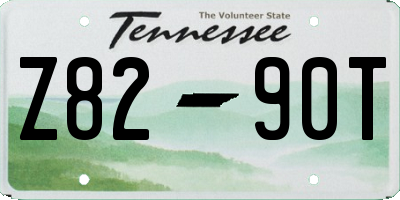 TN license plate Z8290T