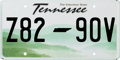 TN license plate Z8290V