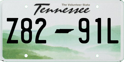 TN license plate Z8291L