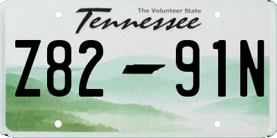 TN license plate Z8291N