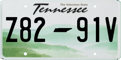 TN license plate Z8291V