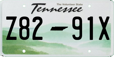 TN license plate Z8291X