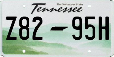 TN license plate Z8295H
