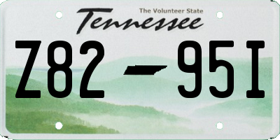 TN license plate Z8295I