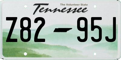 TN license plate Z8295J